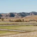Best Farm Stays in California