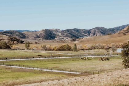 Best Farm Stays in California