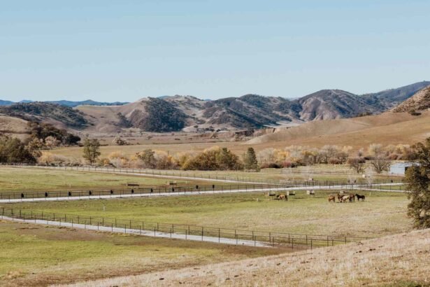 Best Farm Stays in California