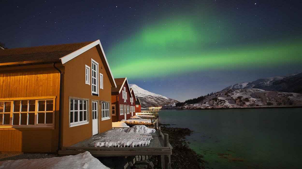 Northern lights dancing above a snowy cabin in Tromsø, Norway