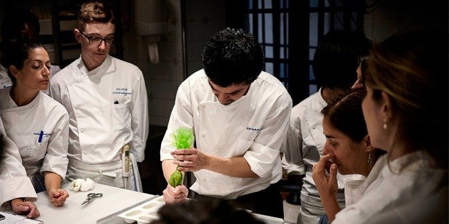 Cooking Schools with Michelin-Starred Chefs
